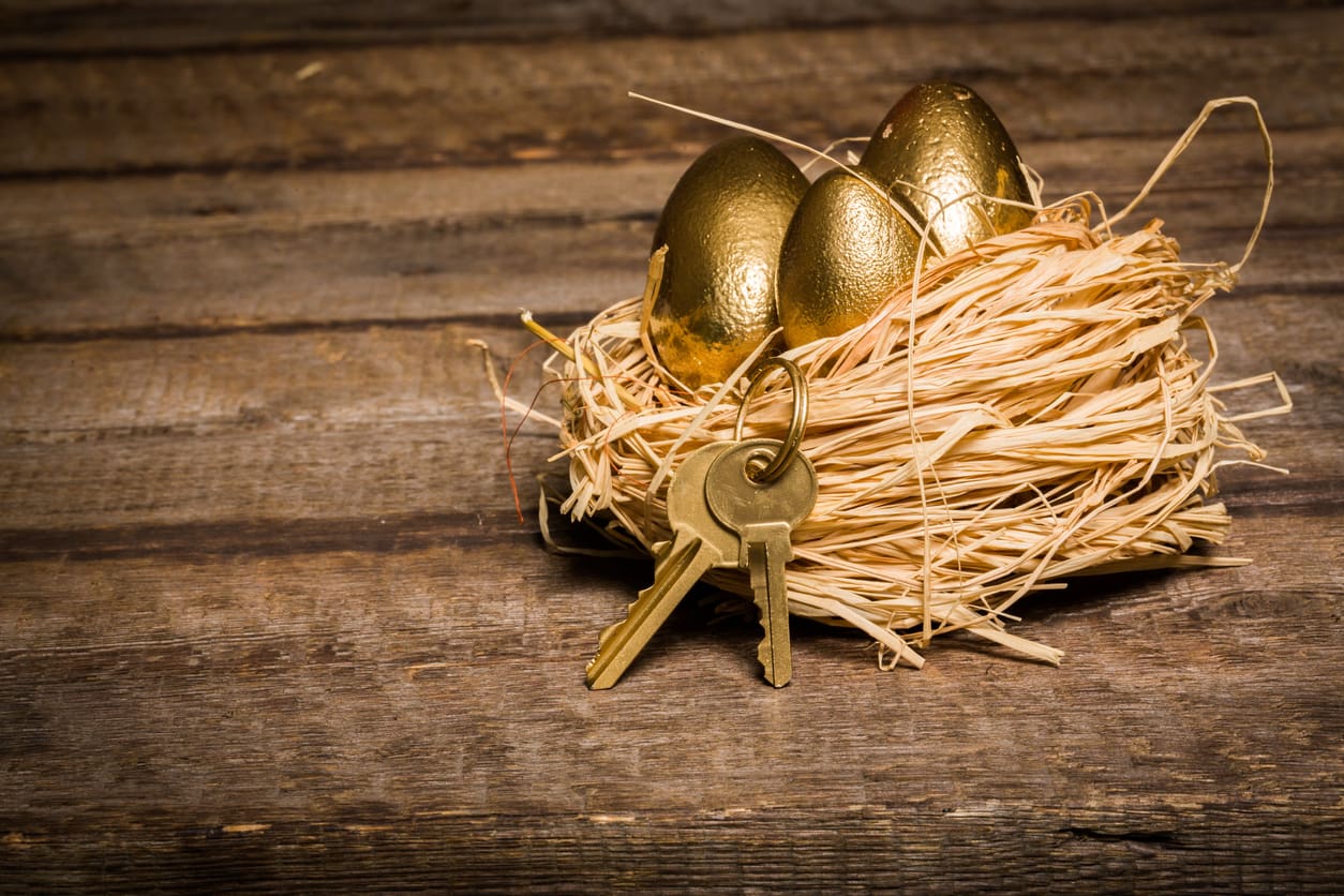 nest egg, long term savings